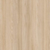Birch